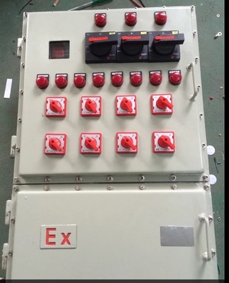 防爆控制箱 品牌聚焦與市場(chǎng)解析——以樂(lè)清巖崎電氣為例