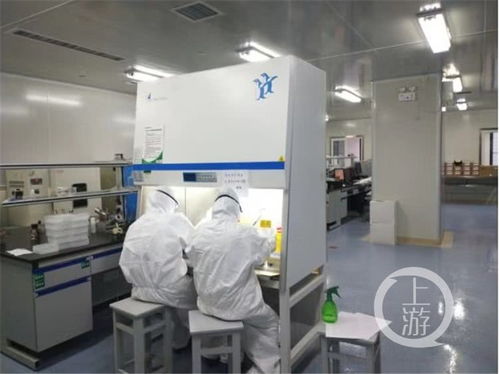 重慶醫科大學成功研發新型冠狀病毒免疫檢測試劑盒