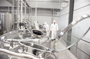 逐勢創新 搶占市場